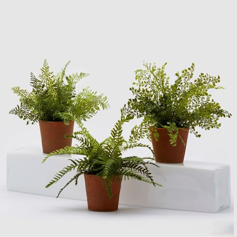 Vaso green