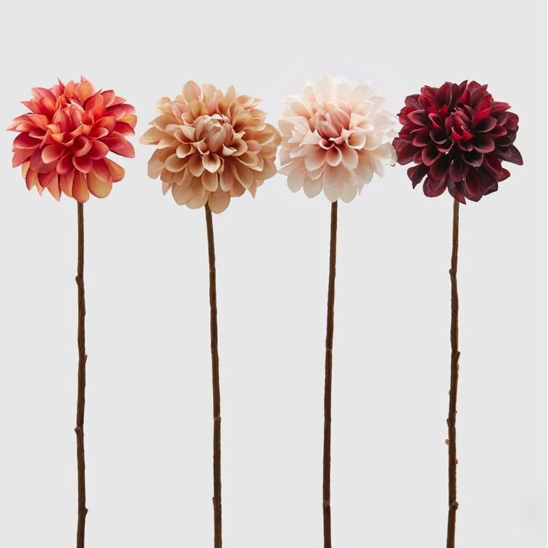 Dalia Vintage