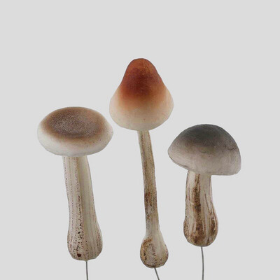 Fungo mini