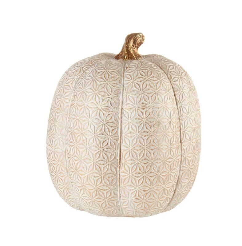 Zucca Magiche Zucche