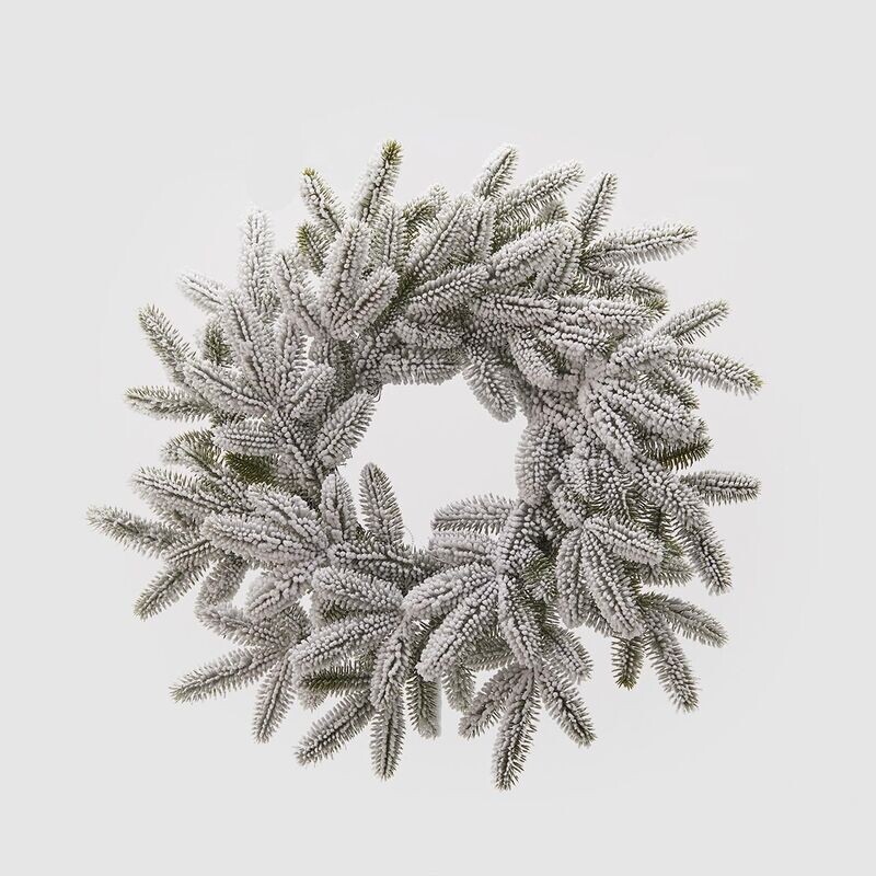 Corona innevata West