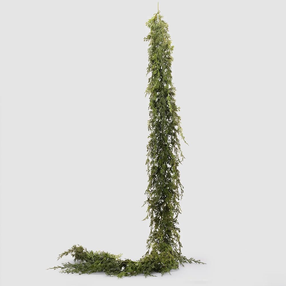 Festone Thuja