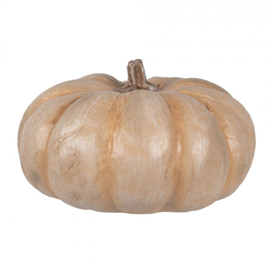 Zucca ø 22cm