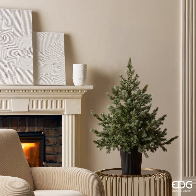 Pino Argentato h.90cm