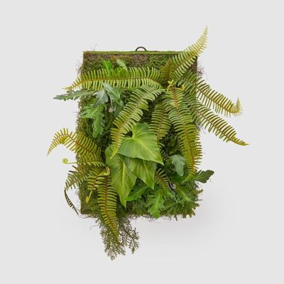 Pannello pareti verde