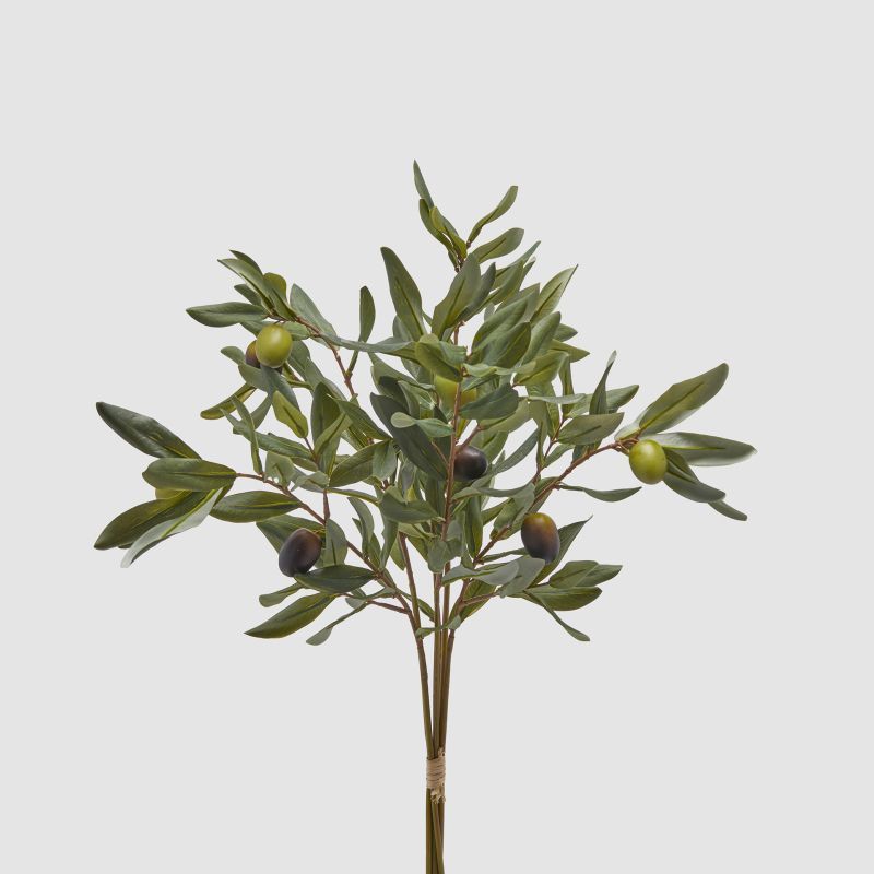 Bouquet olivo