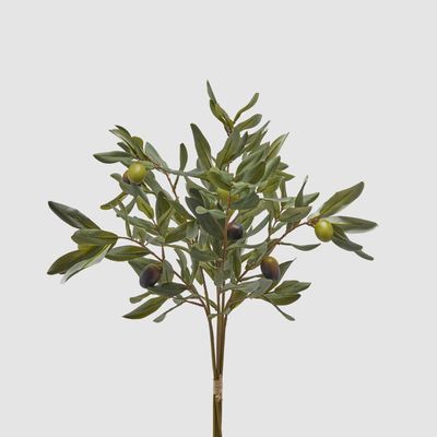 Bouquet olivo