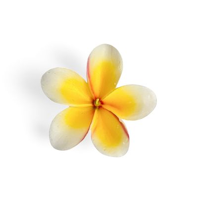 Candela frangipani