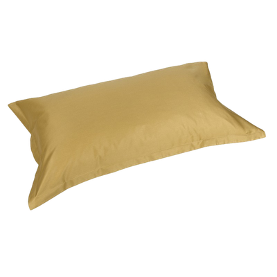 Coppia federe raso Trecento