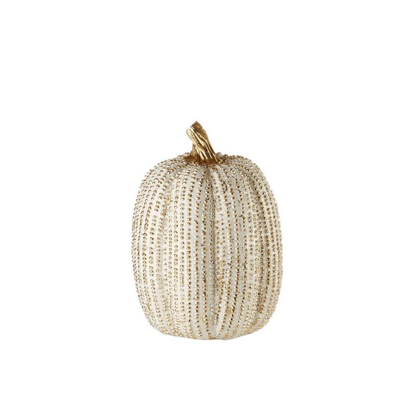 Zucca "Preziose zucche"