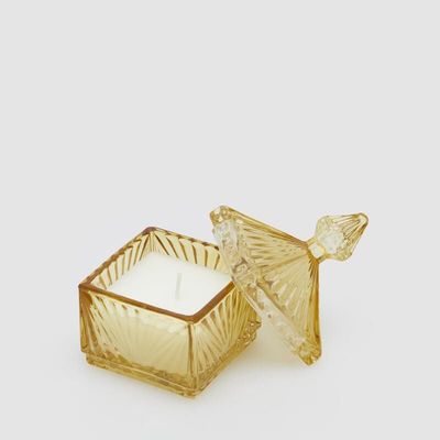 Candela Jasmine Ambra