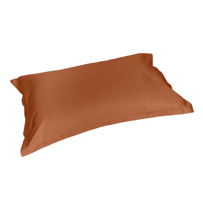 Coppia federe raso Trecento