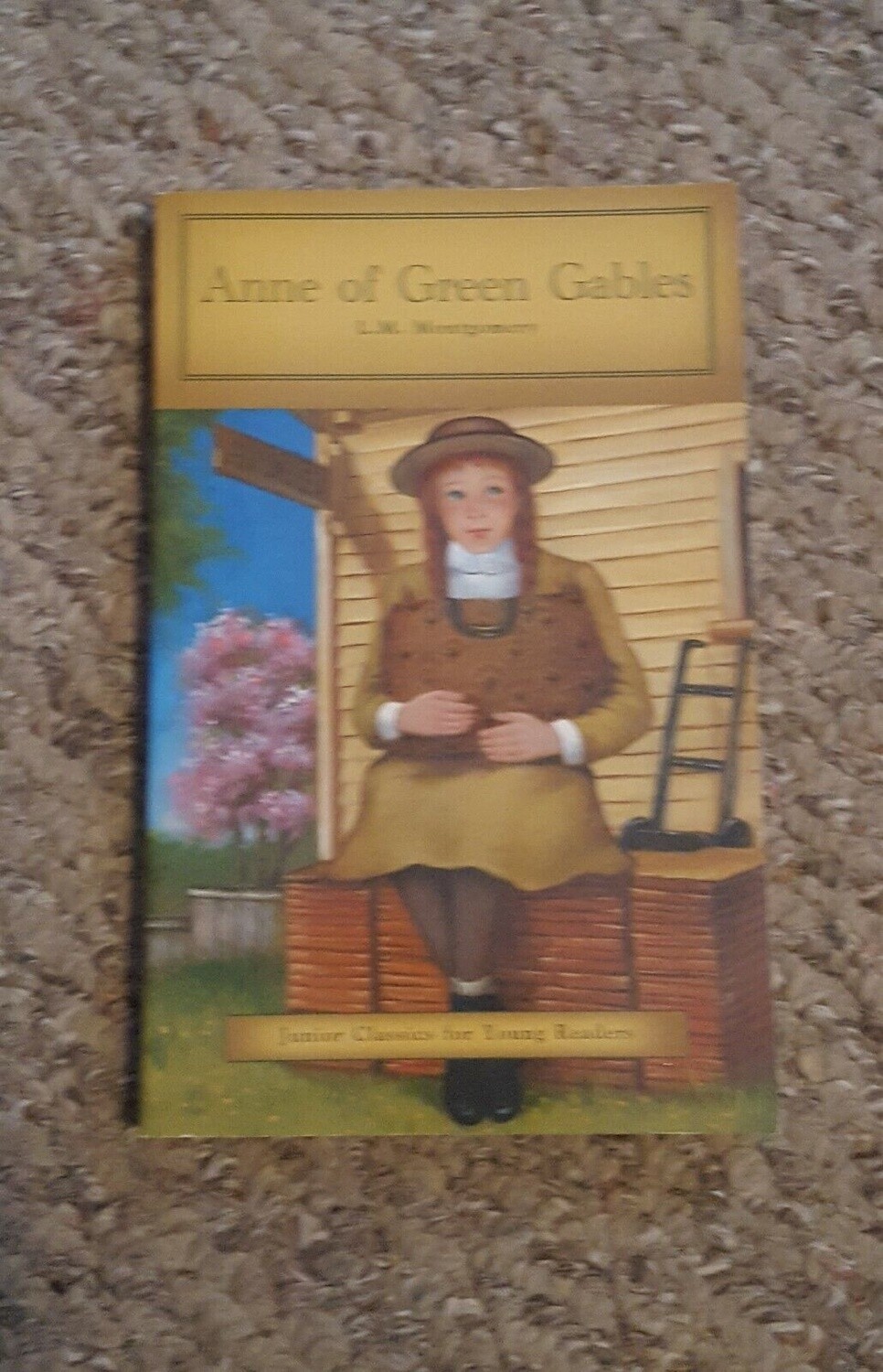 Used Anne of Green Gables-1