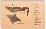 IEW PHONETIC ZOO - LEVEL A - GRADES 3-5  LESSON  CARDS
