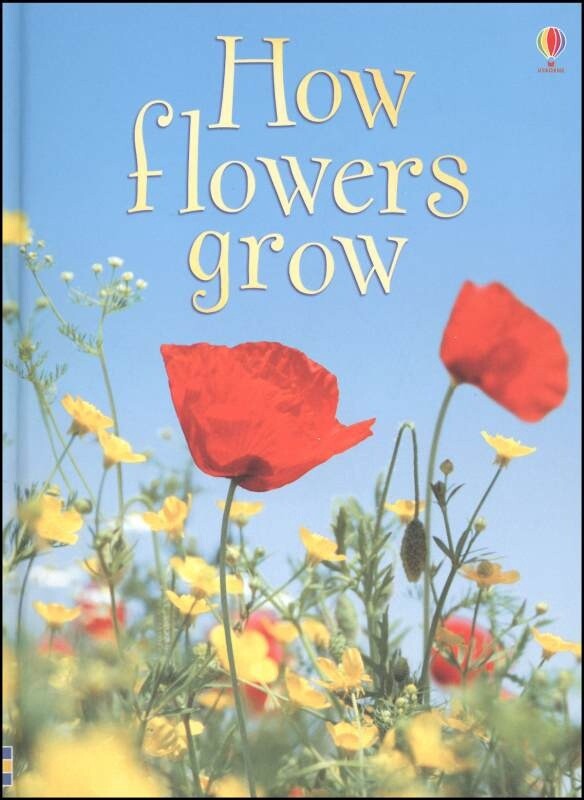 USED USBORNE BEGINNERS: HOW FLOWERS GROW