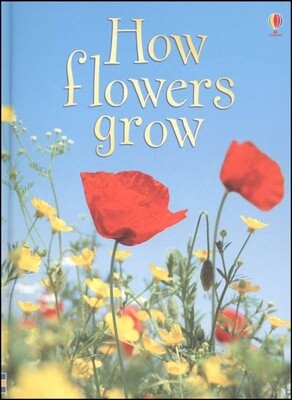 USED USBORNE BEGINNERS: HOW FLOWERS GROW