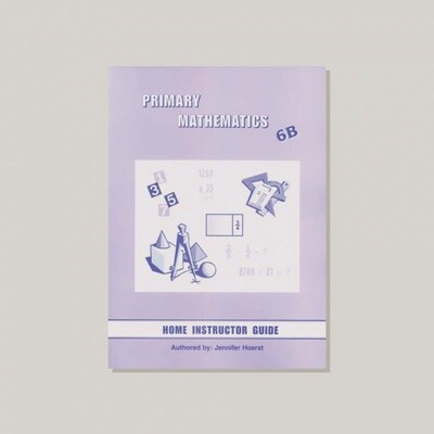 USED SINGAPORE MATH 6B HOME TE