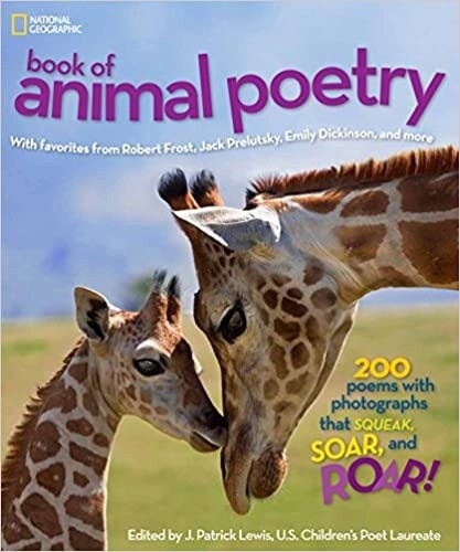 Used Book of Animal Poetry (Hardcover)