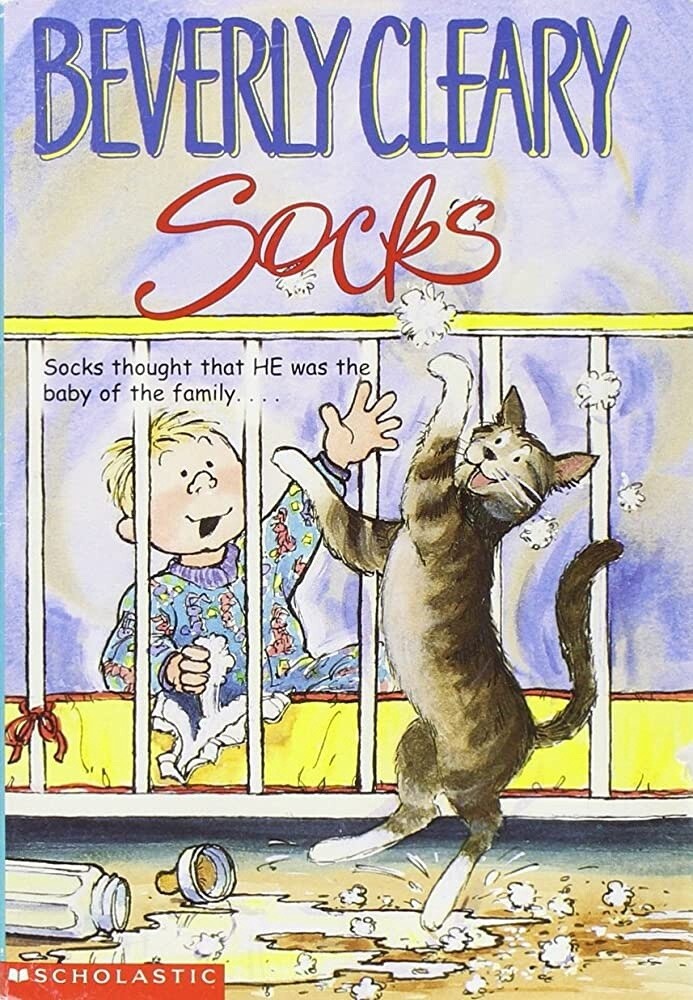 Used SOCKS  - 2