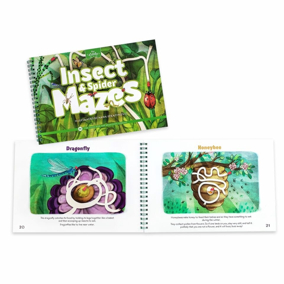 Used The Good and The Beautiful Insect &amp; Spider Mazes