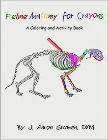 Feline Anatomy for Crayons: A Coloring and Activity Book