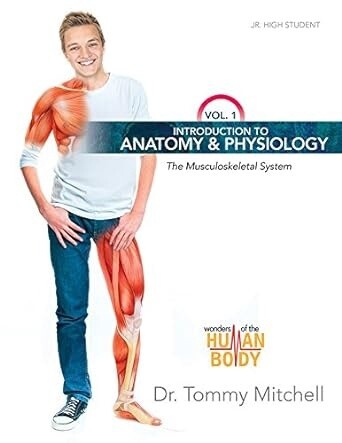 Used MB Introduction to Anatomy &amp; Physiology : The Musculoskeletal System (Vol.