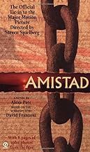 Used Amistad: The Slave Uprising Aboard the Spanish Schooner