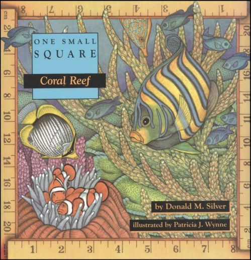 used ONE SMALL SQUARE: CORAL REEF