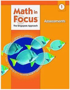 Used Math in Focus Assessments Gr 1