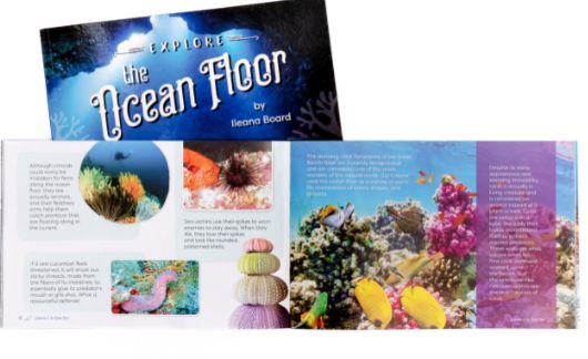 TGTB Explore the Ocean Floor