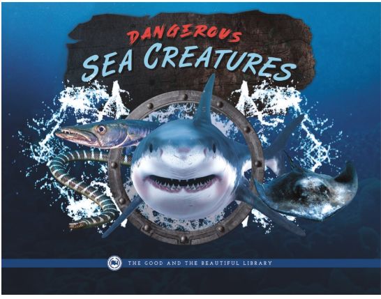 TGTB Dangerous Sea Creatures