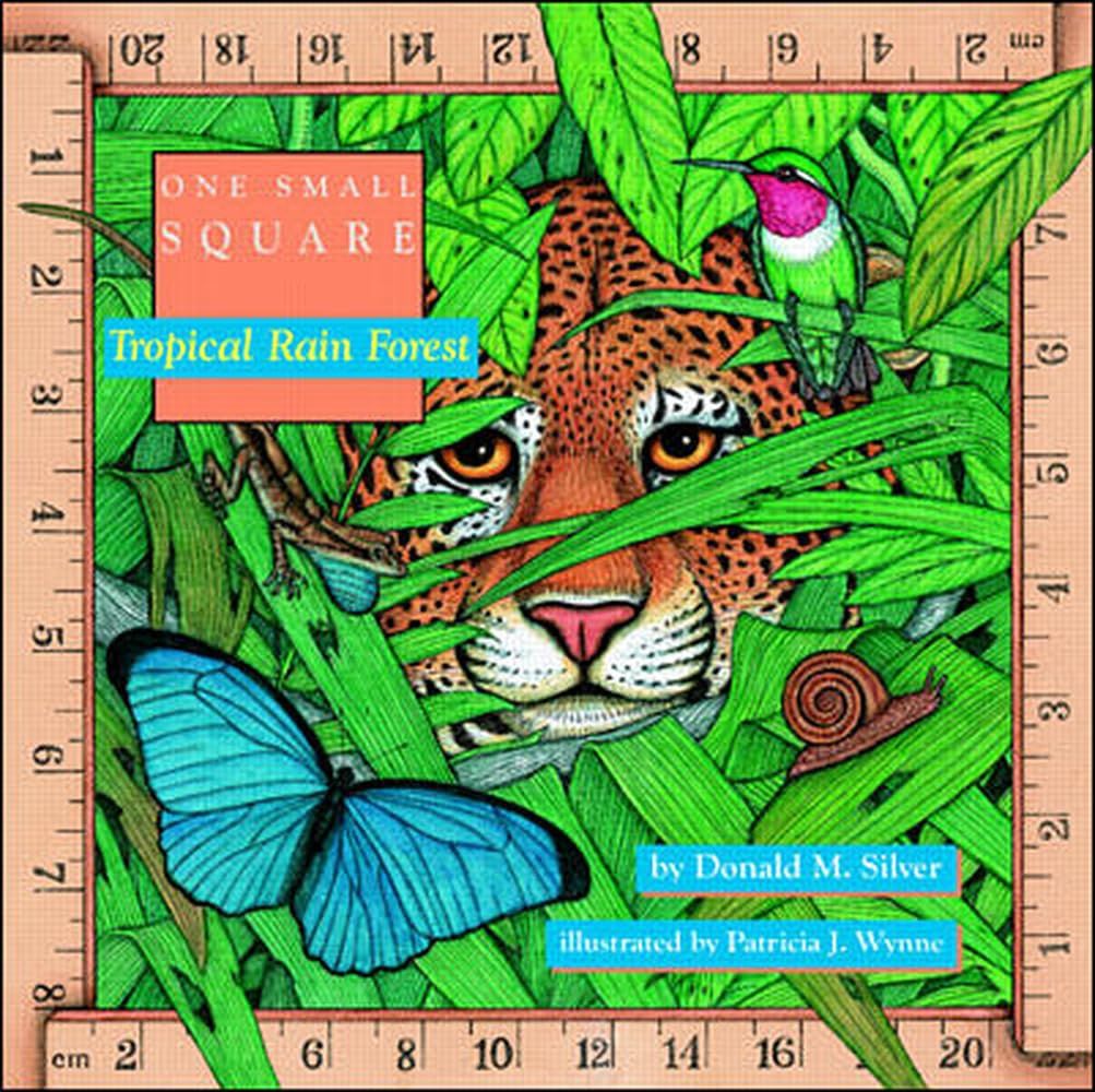 One Small Square : Tropical Rain Forest
