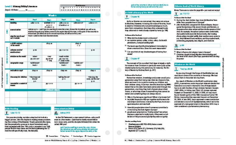 Used SONLIGHT CORE B INTRO TO WORLD HISTORY YEAR 1 OF 2
