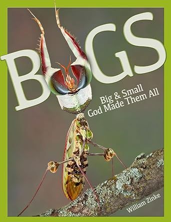 MB Bugs : Big &amp; Small God Made Them All (Masterbooks)