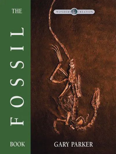MB THE FOSSILS BOOK