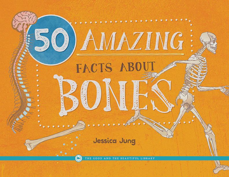 50 Amazing Facts About Bones