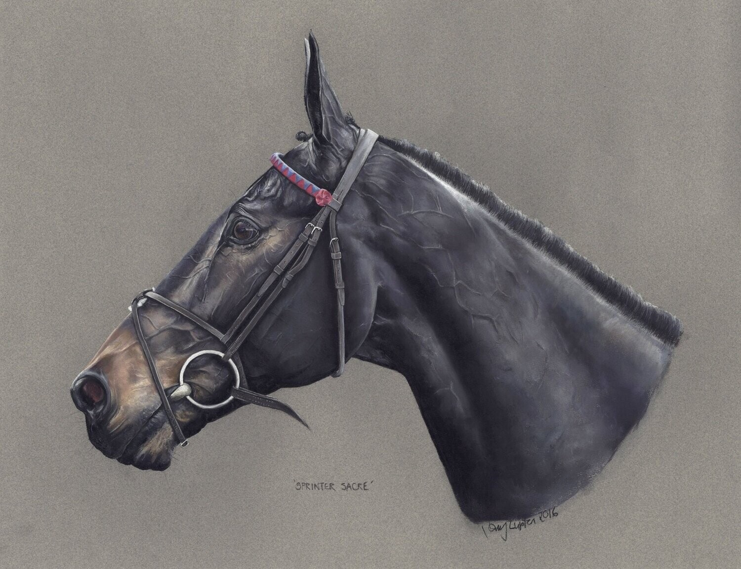 SPRINTER SACRE Giclee print (A3 approx)