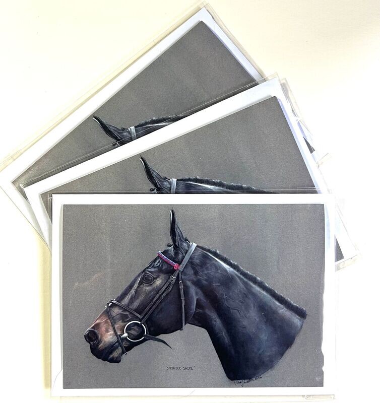 Greeting Cards SPRINTER SACRE (3 pack)