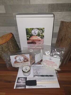 Mushroom Grow Kit, Shiitake dowels for Garden Logs Gift Set (Lentinula edodes)