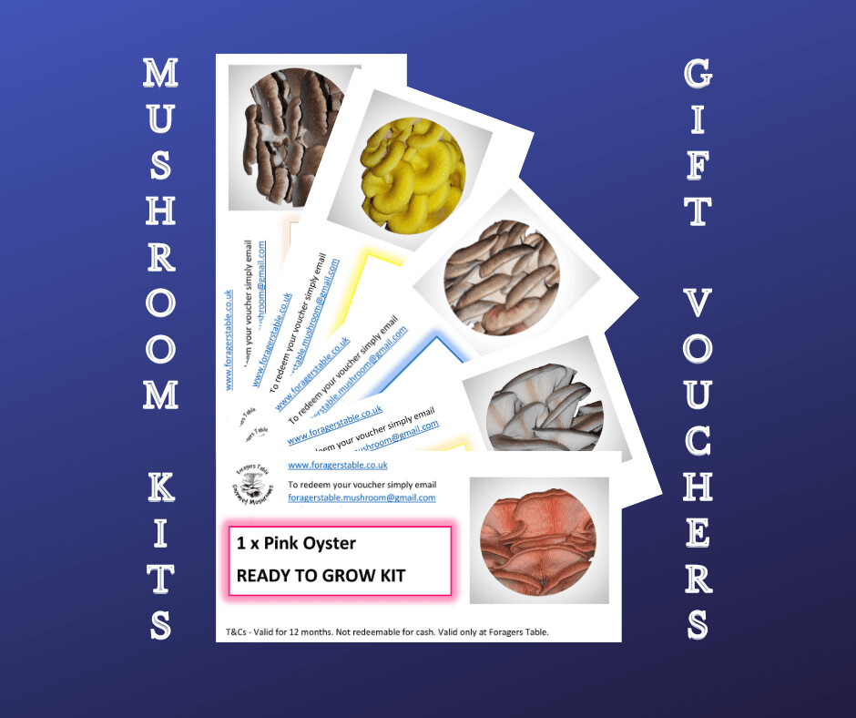 Mushroom Growing Kit “Ready To Grow” - Gift Voucher