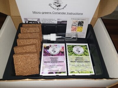 Organic Gourmet Microgreen Kit, Twin