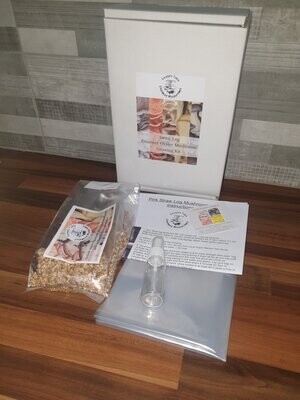 Box Gift Edition Oyster Mushroom Straw Log Kit, XX-Large, 1 Meter Long