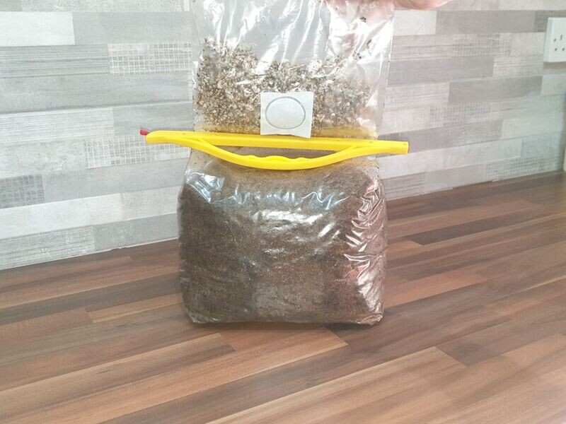 CO2 Generating Grow Kit for Greenhouse and Grow Tents