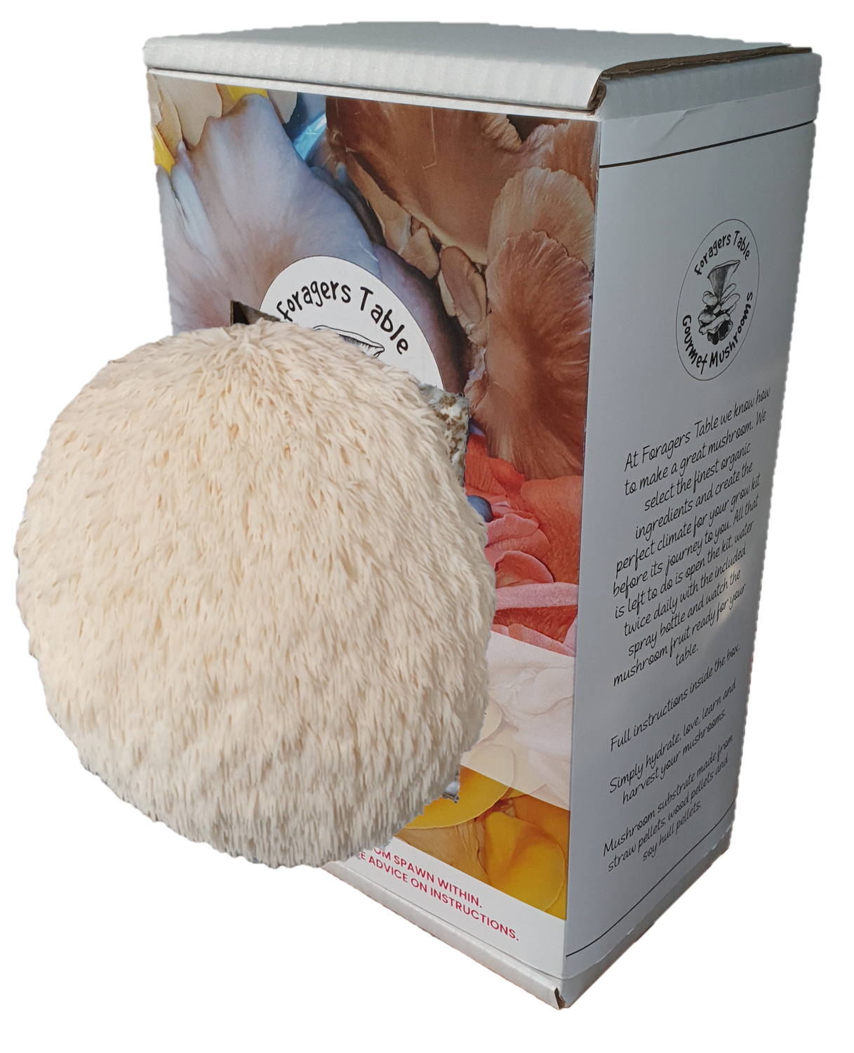 Lions Mane Mushroom Growing kit - Ready to Grow Mushroom kit, (Hericum erinaceus)