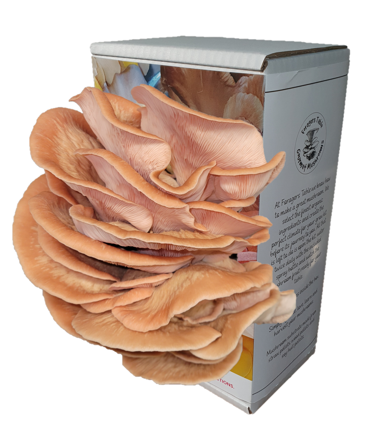 Ready to Grow Pink Oyster Mushroom kit, (Pleurotus djamor)