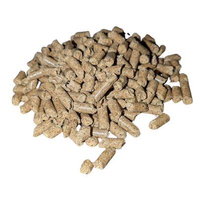 Mushroom Accessories