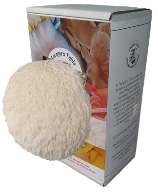 Lions Mane Mushroom Growing kit - Ready to Grow Mushroom kit, (Hericum erinaceus)