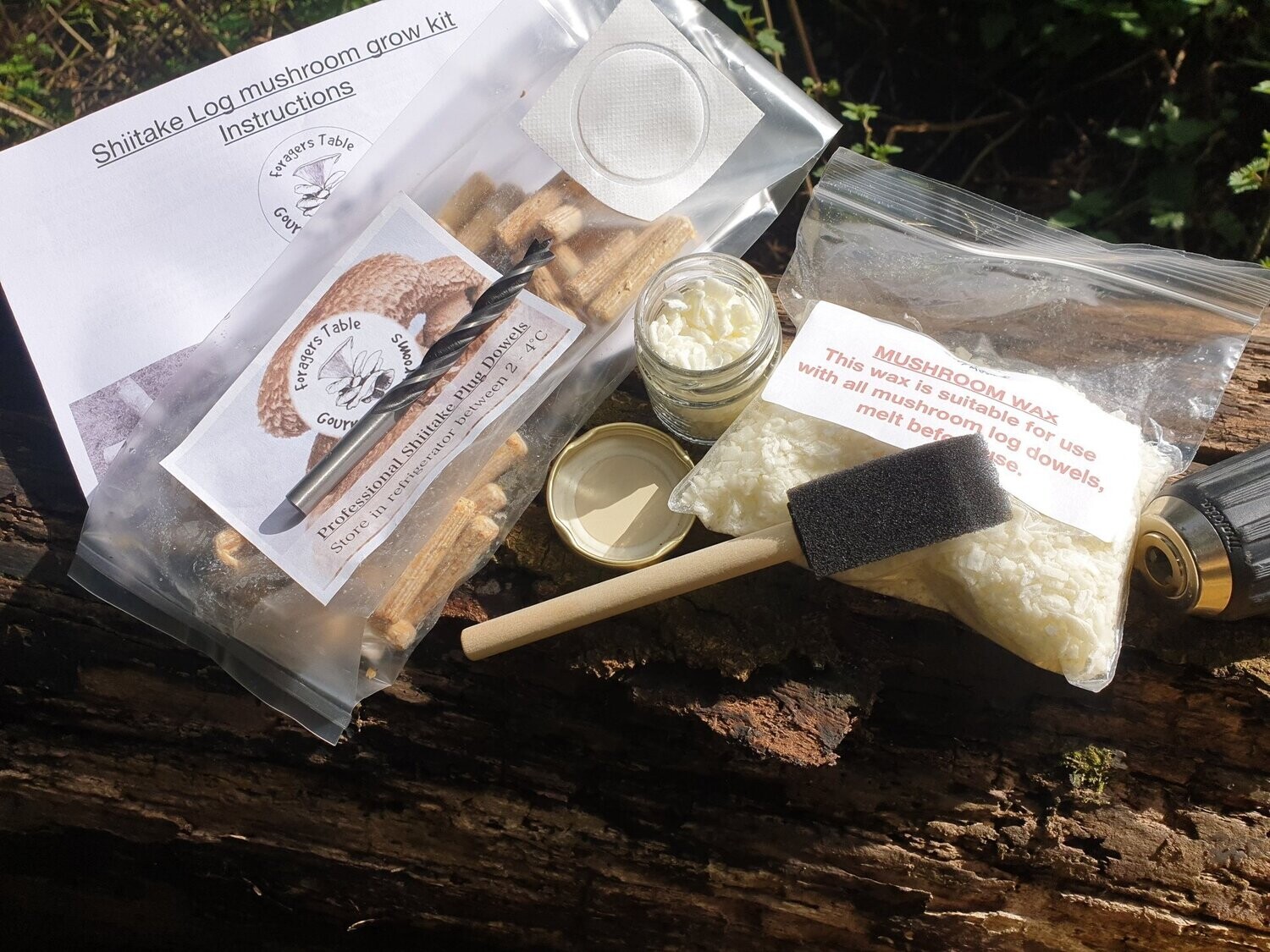 Mushroom Grow Kit, Shiitake dowels for Garden Logs Gift Set (Lentinula edodes) Mushroom Grow Kit, Shiitake dowels for Garden Logs Gift Set (Lentinula edodes)