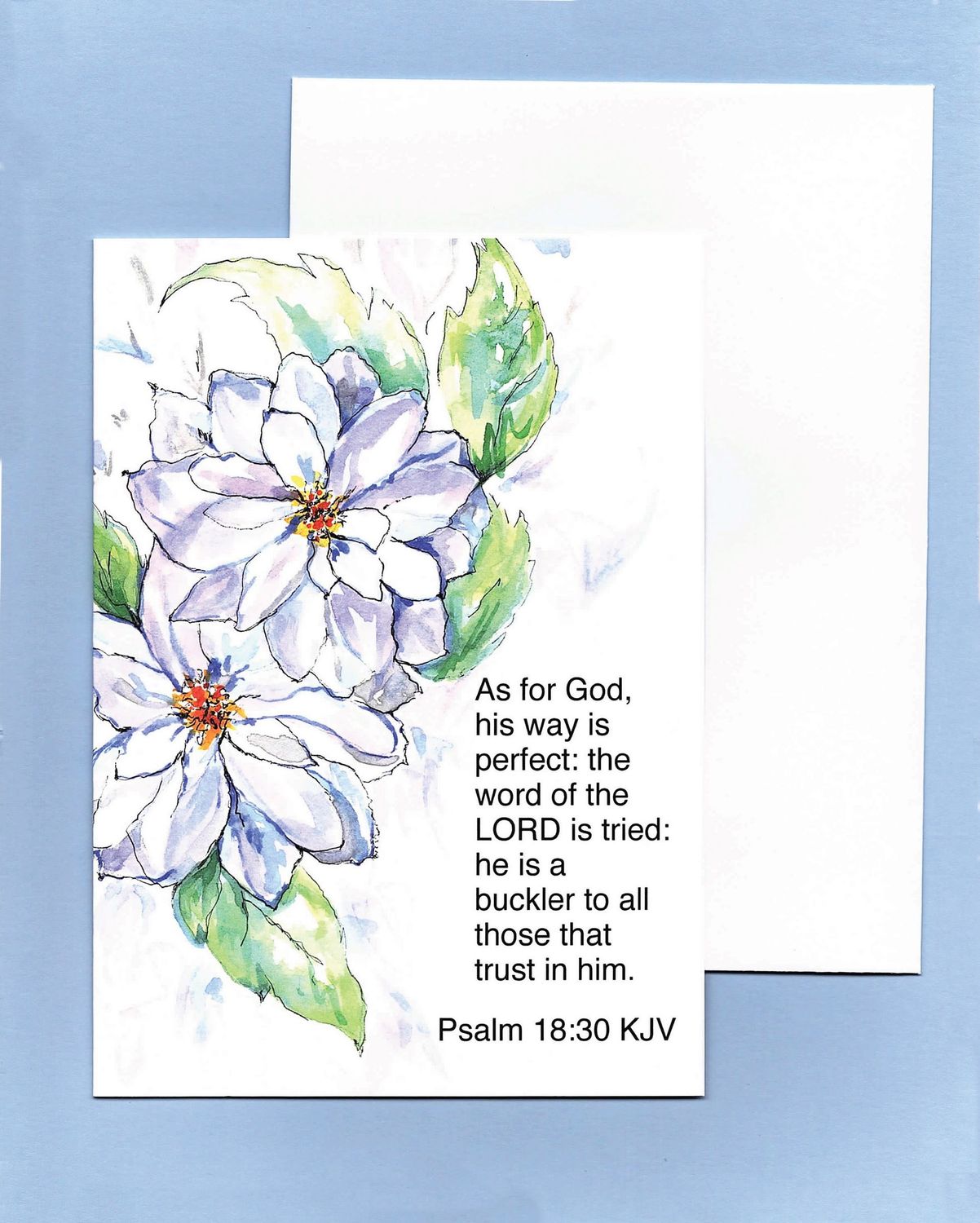 As for God, his way is perfect... Psalm 18:30