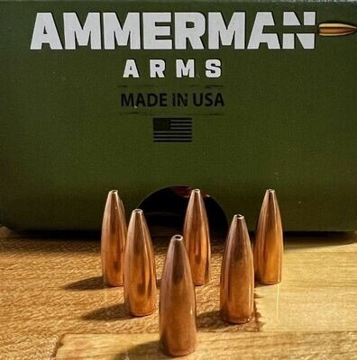 Bullet 22 Caliber 52 Gr HPFB